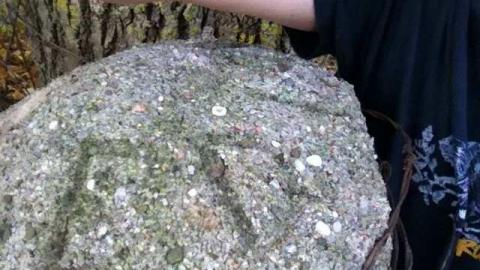 Teston Road Farm 2 - Teston-Road-Barn27.jpg