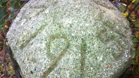 Photo from Teston Road Farm 2