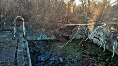 Photo from April 2018 