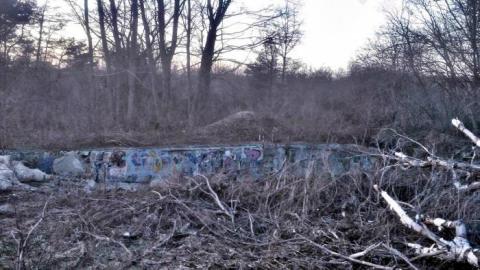 Photo from April 2018 