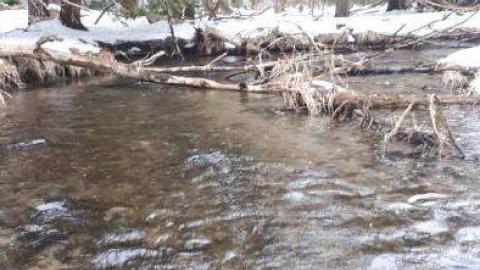 Red Cloud 3 - Red-Cloud-(ghost-town)31.jpg