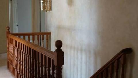 Mellow Mood Lite '18 - DSC02643.jpg