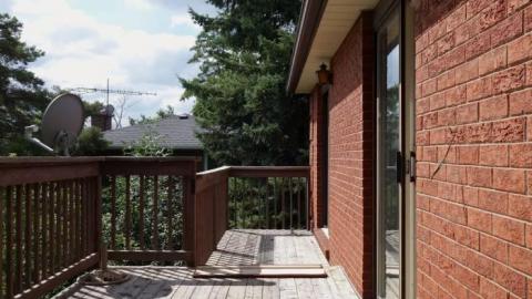 Mellow Mood Lite '18 - DSC02647.jpg