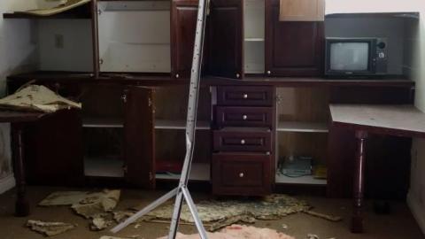 Mellow Mood Lite '18 - DSC02676.jpg