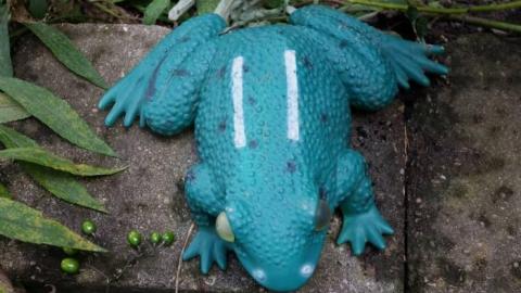 Mellow Mood Lite '18 - DSC02769.jpg