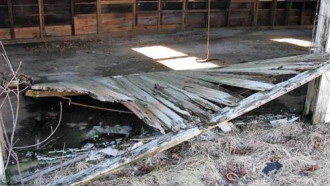 The Milky Way - 11.jpg