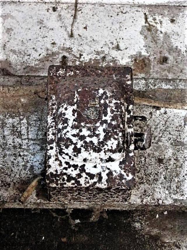 Houghton But Not Forgotten photo 4