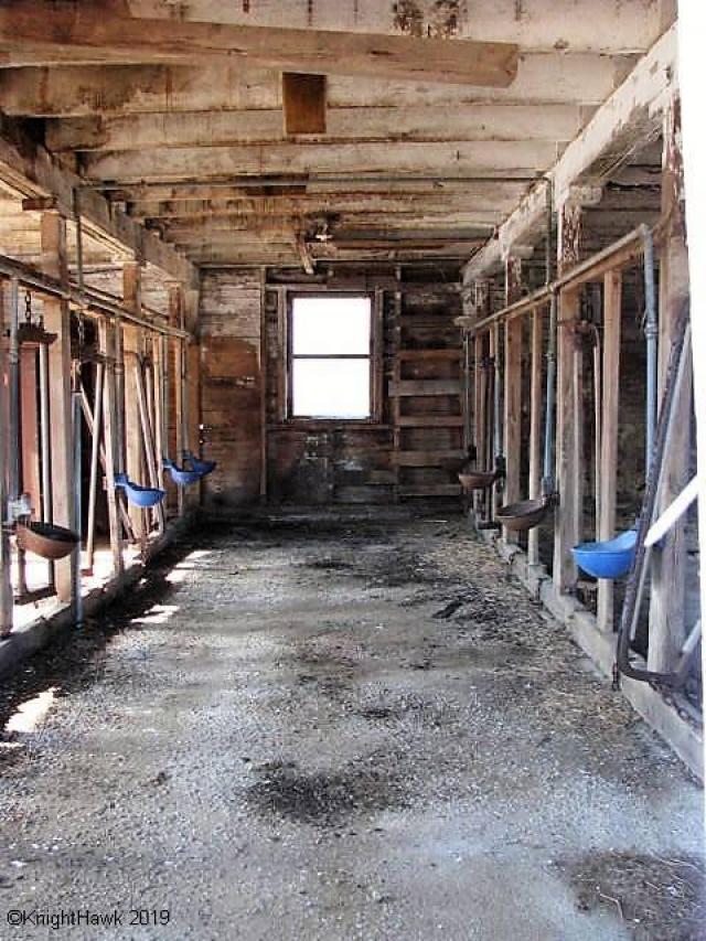 Houghton But Not Forgotten photo 5