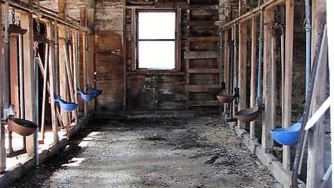 Houghton But Not Forgotten photo 5