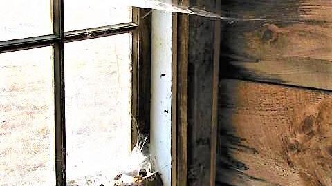 The Milky Way - 26.jpg