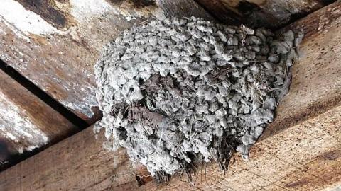 The Milky Way - 27.jpg