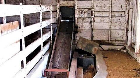 The Milky Way - 37.jpg