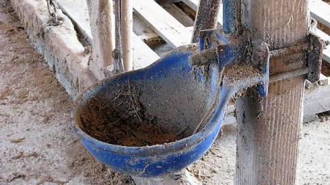 The Milky Way - 39.jpg