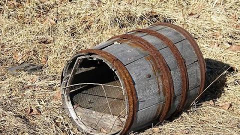 The Milky Way - 47.jpg