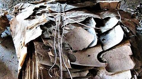 The Milky Way - 52.jpg