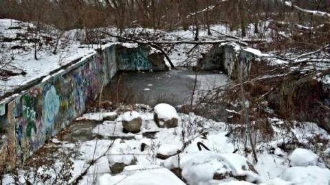 Jan. 2019 - Abandoned-Pool40.jpg