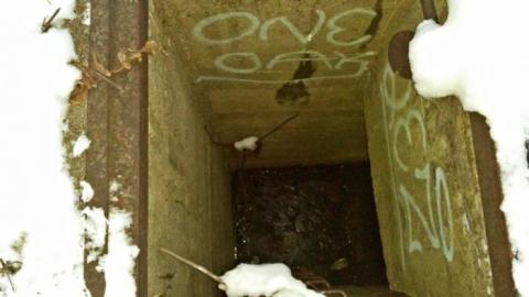 Photo from Jan. 2019