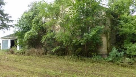 Crispy  - P1140175.jpg