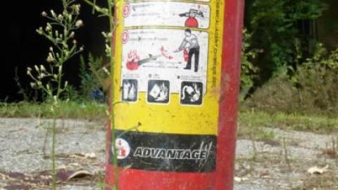 Crispy  - P1140176 (2).jpg