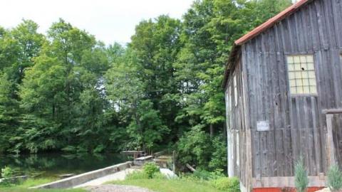 Walters Falls 2 - By-the-Falls28.jpg