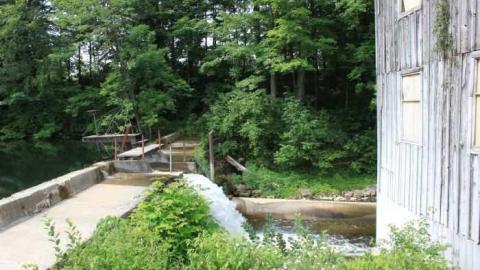 Walters Falls 2 - By-the-Falls2.jpg