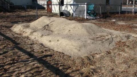 Footprints to the Grave - 1.jpg