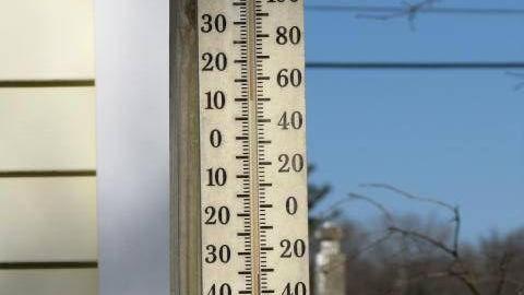 Gone To the Dogs (School) - Norton, Massachusetts