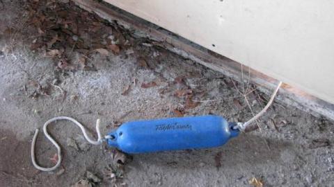 Gone To the Dogs (School) photo 4