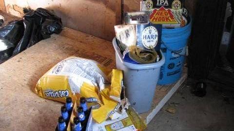 Gone To the Dogs (School) photo 5