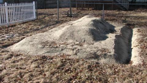 Gone To the Dogs (School) photo 2