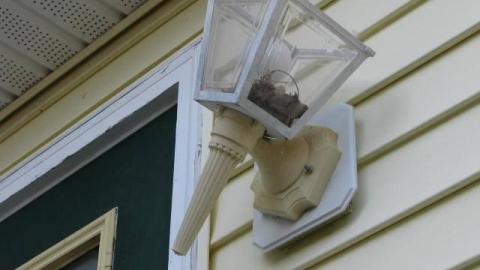 Footprints to the Grave - 20.jpg