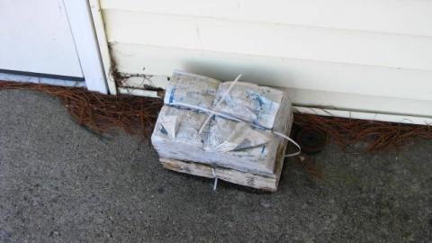 Gone To the Dogs (School) photo 3