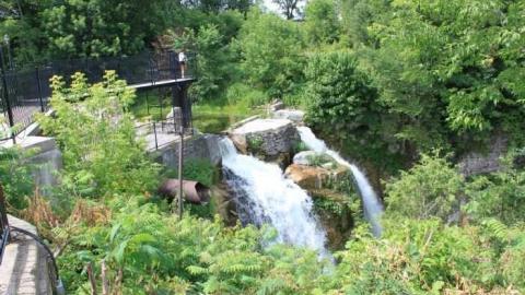 Walters Falls 2 - By-the-Falls31.jpg