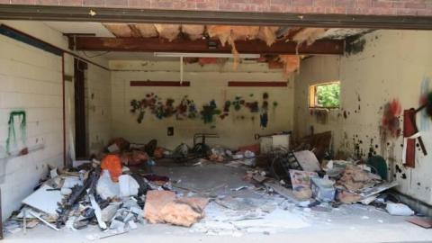 Twins - IMG_4717.jpg