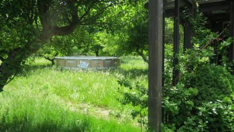 Twins - IMG_4739.jpg