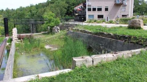 Walters Falls 2 - By-the-Falls34.jpg