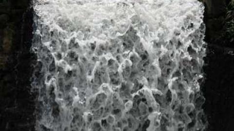 Walters Falls 2 - By-the-Falls1.jpg