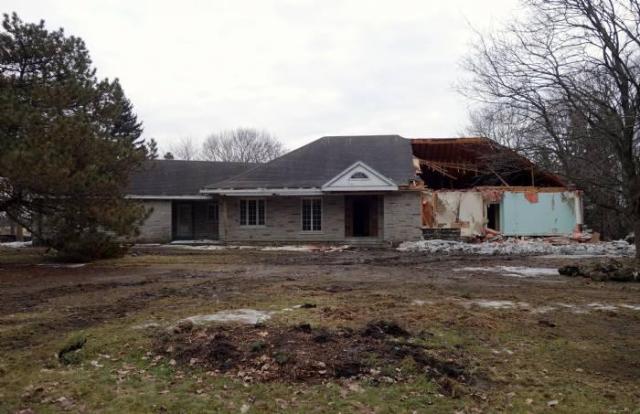 Stop The Terrain, It's Home Time! photo 3