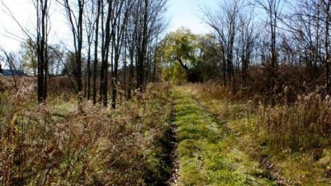 Ernestown Station - Ernestown-Railway-Station8.jpg