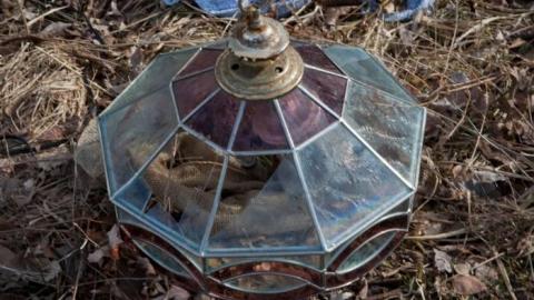 March 2019 - IMG_5620.jpg