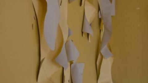 March 2019 - IMG_5629.jpg