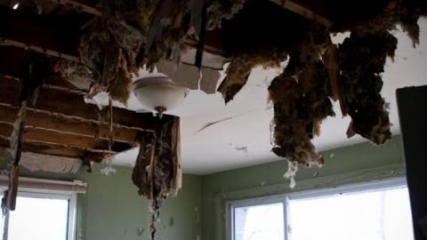 March 2019 - IMG_5633.jpg