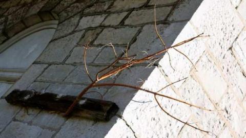 Ernestown Station - Ernestown-Railway-Station15.jpg