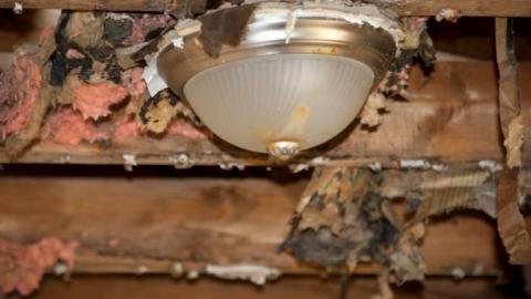 March 2019 - IMG_5637.jpg