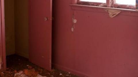 March 2019 - IMG_5639.jpg