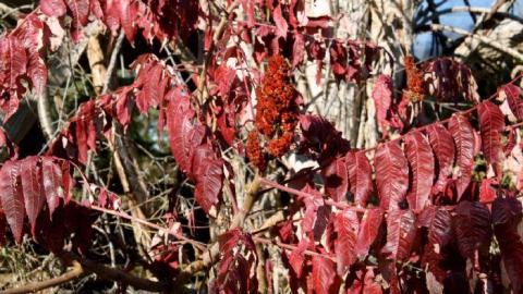 Gallery - IMG_9843.jpg