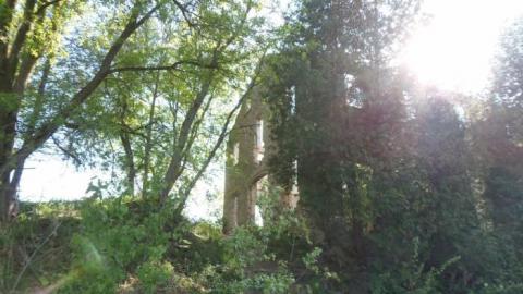 Photo from May 2015 Elora