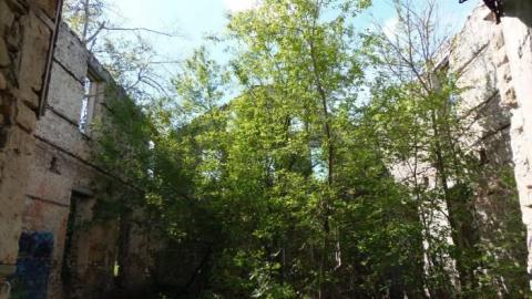 Photo from May 2015 Elora