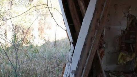 Gallery - IMG_9861.jpg