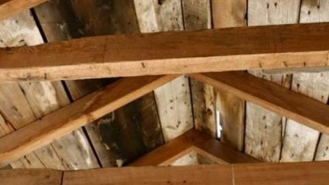 Gallery - IMG_9863.jpg